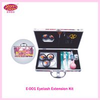 Wholesale 2015 New Professional Makeup False Eyelash Extension Cosmetic Set Kit Eye Individual Hand Made Natural Long Lashes Women Beauty Tool E