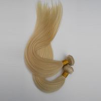 Wholesale Indian Brazilian virgin Human Hair Bundles double weft France Britain the United States high end silky straight
