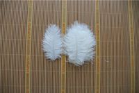 Wholesale inch WHITE ostrich feather for wedding centerpiece decor WEDDINGS party table supply festive SUPPLY