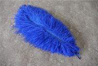 Wholesale inch royal blue Ostrich Feathers plumes for wedding centerpieces party decor event supplies