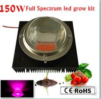 Wholesale Actual Power W diy led grow kit W led grow light chip power supply big heat sink fan and driver big lens reflector