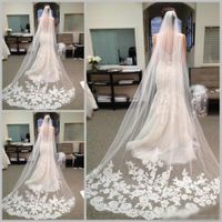 Wholesale 2019 Chapel Length Tulle Bride Wedding Veils with Comb Applique Decoration Long Bridal Veil Hair Accessories
