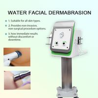 Wholesale 2IN1 Professional Crystal Diamond Replacement Microdermabrasion Skin Peel cleaning Machine