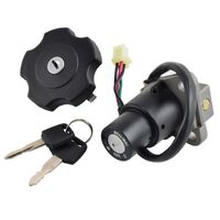 Wholesale Theft Protection Set Motorcycle Lock Complete Ignition Switch Gas Cap Motorbike Accessories For Pulse Adrenaline