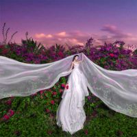 Wholesale 6 Meters Wedding Picture Party Bridal Extra Long M White Mesh Tulle Veil Bride Ivory Veils Without Comb X0726