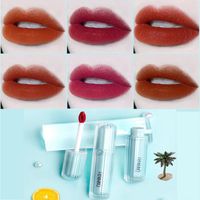 Wholesale Lip Gloss Color Velvet Matte Lipstick Air Light Moisturizing Oil Lipsticks Beauty Cosmetics Female Makeup Pencil TSLM1
