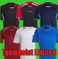 Wholesale Teamgeist Limited Collection Soccer Jersey real B FERNANDES madrid Flamengo Football Shirt Men Adult man Uniforms utd tops