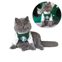 Wholesale Pet Cosplay Coffee Shop Assistant Costume Fancy Dress Scraf For Cat Clothing Bandana Halloween Costumes