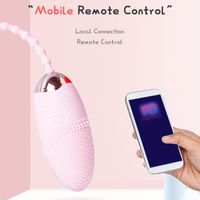Wholesale New App Control Vibrating Egg Vibrators Sex Toys For Women Wireless G Spot Stimulator Vibrator Clitoris vibrator