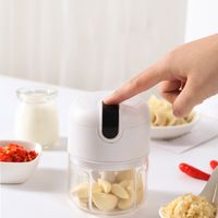 Wholesale 250 ml Electric Garlic Chopper Slicer Press Small Kitchen Tools Fruit And Vegetable Food Processor