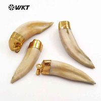 Wholesale WT P241 WKT original wolf tooth pendants with gold color cap amazing raw wolf teeth bone pendants for jewelry making G0927