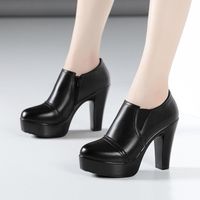 Wholesale Dress Shoes Plus Size Block Heel Deep Mouth Platform Women Pumps Fall Winter High Heels Ladies Office Party Shoe