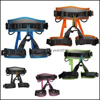 Wholesale Harnesses Cam Hiking Sports Outdoorsrock Climbing Harness Aerial Work Belt Speed Outdoor Protect Safety Wear Resistant Fall Prevention