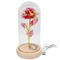 Wholesale Decorative Objects Figurines Galaxy Rose Flower LED Night Light In Glass E USB Infinity Flowers For Office Home Women Mother s Valentine D