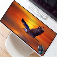 Wholesale Mouse Pads Wrist Rests XGZ Eagle Soaring Oversized Gaming Pad Non slip Natural Rubber Computer Desk With CSGO Lock Edge