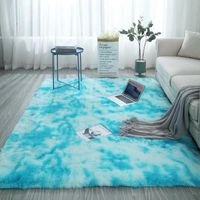 Wholesale Carpets Grey Carpet Tie Dyeing Plush Soft For Living Room Bedroom Anti slip Floor Mats Water Absorption Rugs