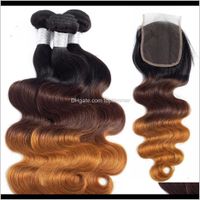 Wholesale Extensions Products Drop Delivery Dilys Brazilian Virgin Bundles With Closures Ombre Three Tone Body Wave Malaysian Unprocessed Human Ha