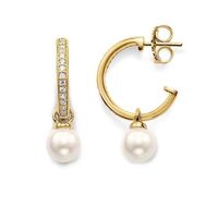 Wholesale Gold Color Pearl Hinged Creole Hoop Earrings Round Silver White Zirconia Fashion Good Jewelry For Women Huggie
