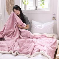 Wholesale Blankets Thickening Faux Sherpa Blanket x200cm Soft Warm Flannel Pink Beige Wine Red