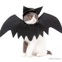 Wholesale Halloween Pet Bat Wings Outfit Headwear For Dogs Cats Black Felt Cloth X18CM Decorations Accessories Cat Costumes