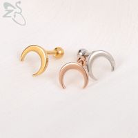 Wholesale zs color rose moon for women stainless cartilage helix piercing earrings steel gold ear stud jewelry