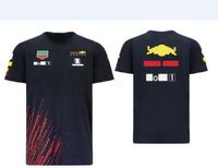 Wholesale 2021 F1 Formula One Team Racing Jersey Short Sleeve T Shirt Sports Round Neck Car Workwear Fans Customized Summer Style