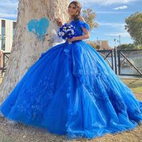 Wholesale Mexican Girl Vestidos De XV Años Quinceanera Dress Ball Gown Appliques Lace Country Garden Birthday Sweet Gowns