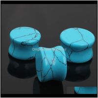 Wholesale Drop Delivery Tunnels And Plugs Wholesales Piercing Body Jewelry Natural Stone Flesh Tunnel Ear Gauge Plug Saddle Cartilage Earrings