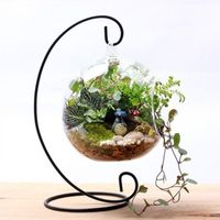 Wholesale 12 Inch cm Hanging Holder Crystal Terrarium Container Without Glass Ball Vase Pot Iron Stand Holder Decoration Home Decor