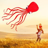 Wholesale 3D Soft Octopus Kite Cartoon Animal Outdoor Windsock Soft Kite Outdoor Easy To Fly Children Toys for Christmas New Year Gift