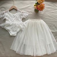 Wholesale Baby Flowers Girls Dress Clothes Outfit Kids Birthday Lace Embroidery Romper Skirt Ruffles Onesie Toddler White Baptism Set Clothing Sets