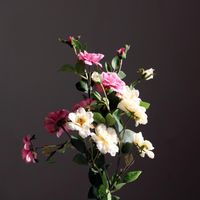 Wholesale Decorative Flowers Wreaths Simulation Single Stem Iceberg China Rose For Shooting Props Head Hat Headdress Bag Flower Handmade Fake