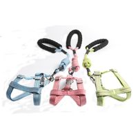 Wholesale Dog Collars Leashes Cross border selling Pet Traction Rope Chest Strap Small And Medium sized Round Back Supplies