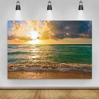Wholesale Summer Backdrops For Pography Seaside Beach Sand Sunrise Aurora Natural Scenic Backgrounds Pocall Po Studio Party Decoration