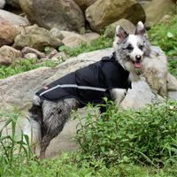 Wholesale Dog Apparel Factory Direct Sale Raincoat Selling Pet Spring And Autumn Water repellent Outdoor Warm Clothing