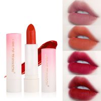 Wholesale TEAYASON Fashion Colors Matte Retro Red Peach Lipstick Maquillaje Waterproof Maquiagem Lips Makeup Summer Make Up Cosmetics lip gloss