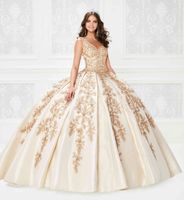 Wholesale Designer Ball Gown Quinceanera Dresses Appliques Beaded Bodice Corset Prom Dress Gorgeous Princess Party Gowns Lace up Back