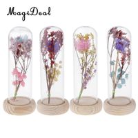 Wholesale Clear Glass Display Cloche Bell Jar Dried Immortal Flower Preservation Vase Wooden Base Cafe Bar Countertop Decor Ornament Decorative Flower