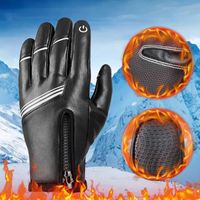 Wholesale Five Fingers Gloves Winter Men Women Warm Thermal Faux Leather With Zipper Windproof Waterproof Antislip Ski Snow Snowboard