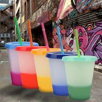 Wholesale 16Oz mix Color Changing Cold Cups Reusable Plastic Mugs Tumbler With Lid And Straw Drinkware Kitchen Gadgets FY4494