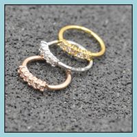 Wholesale Rings Studs Body Jewelry Piercing Cz Hoop Ear Helix Daith Cartilage Tragus Earring Nose Septum Ring Bend Shine G Drop Delivery