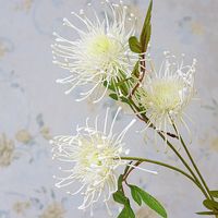 Wholesale White Leucospermum Artificial Flowers Long Branch Fake Flower Plastic Flowers for Wedding Decoration Garden Outdoor High Quality