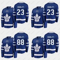 Wholesale We Skate For Equality Blue Jersey Home Travis Dermott William Nylander All Stitched Ice Hockey Jerseys