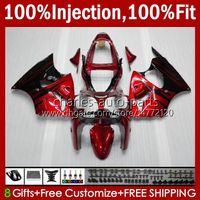 Wholesale OEM Body Injection red flames stock Mold For KAWASAKI NINJA ZZR600 ZX ZZR CC Cowling HC ZZR CC Fit Fairing Kit