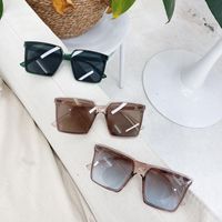 Wholesale Sunglasses Summer Square For Lady Fashion Trendy Style Sun Glasses Vintage Shades Goggles Streetwear Eyewear