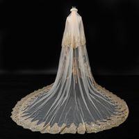 Wholesale Bridal Veils Fashion Lace Cathedral Wedding With Combs Two Layer Sequined Appliques Pleats Veil