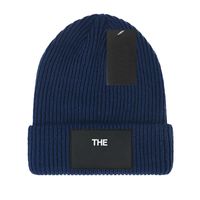Wholesale Top quality Winter Brand Wool beanie men women caps leisure knitting beanies Parka head cover cap outdoor lovers hat fashion knitted hats