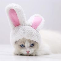 Wholesale Cat Costumes White Cute Warm Comfortable Cotton Wool Adjustable Headgear Ear Lamb Velvet Head Circumference For Pet