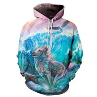 Wholesale New Abstract Painting Surfwolf d Pattern Hoodie Popular Digital Printing Loose Long Sleeve Sweater