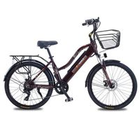 Wholesale 26 Inch Ladies Electric Bike Two Wheels Electric Bicycles W V AH White Brown Green Electric Mountain Bicycle For Adults